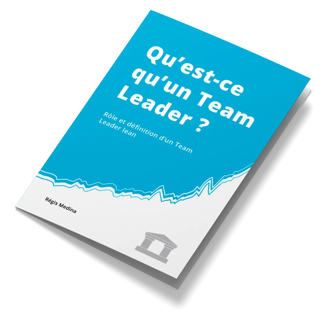 Article : Qu’est-ce qu’un Team Leader ?