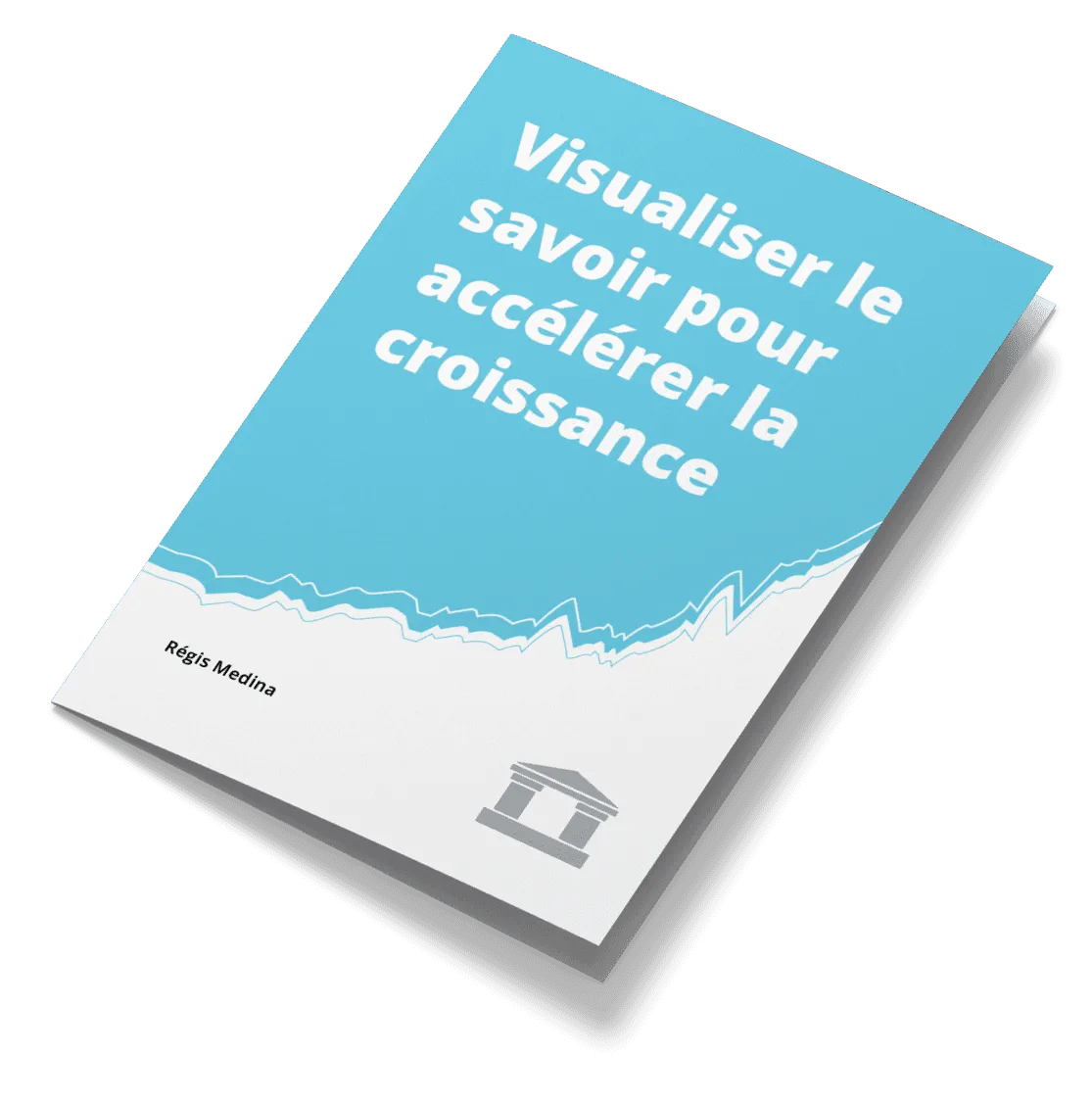 Article : Visualiser le savoir pour accélérer la croissance